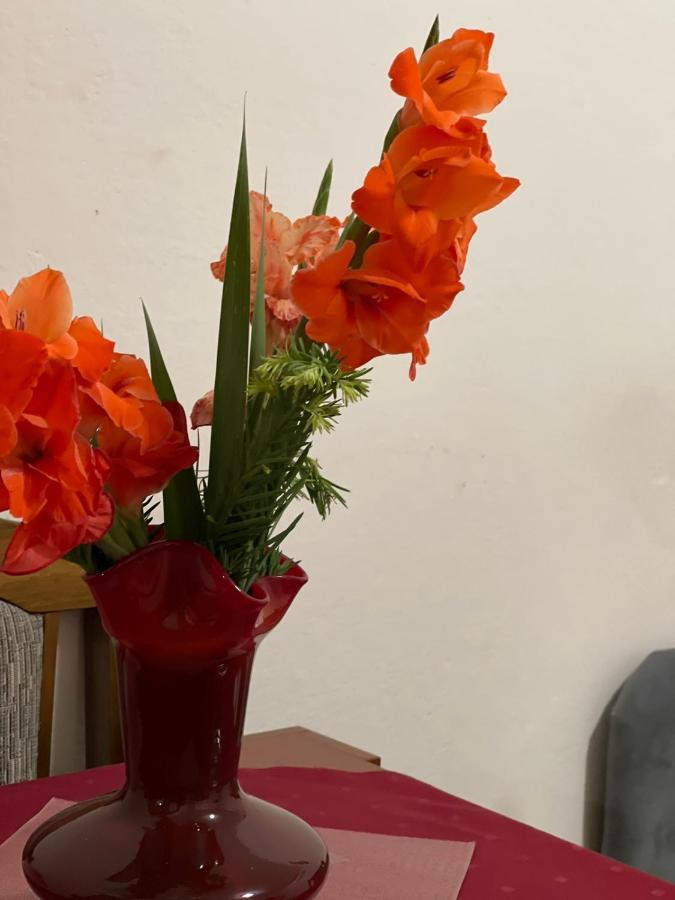 Apartamento Miro Trebinje